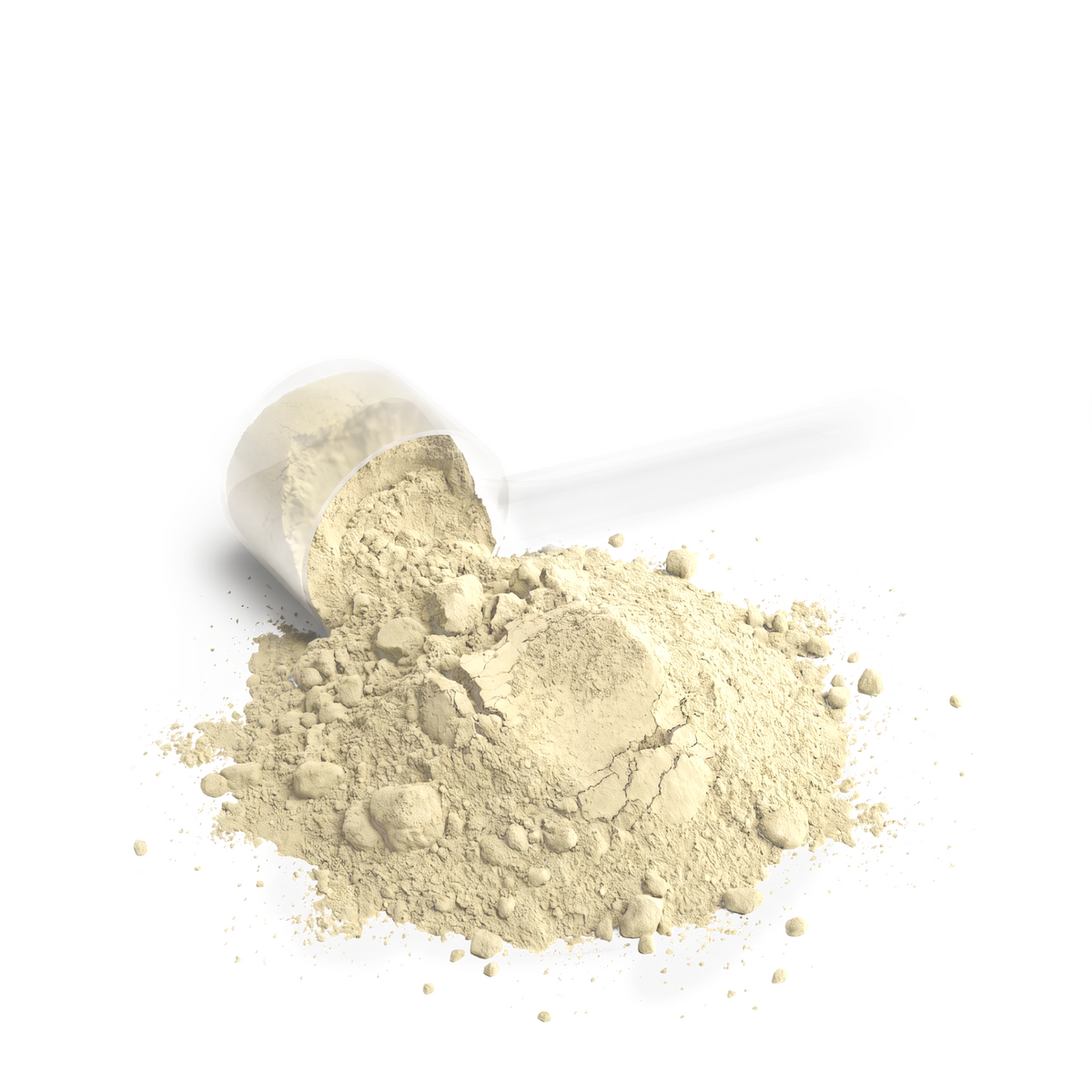 FORGE Whey Protein Blend (Vanilla)